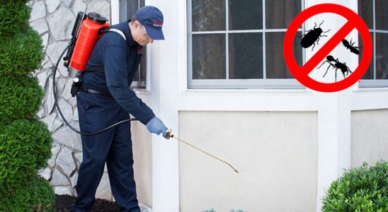 Bekilli Akrep İlaçlama böcek ilaçlama ve haşere kontrolü — ilaclama-tr.com